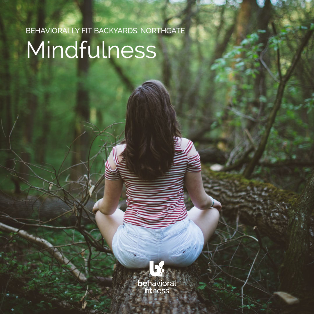 BFB  Northgate Mindfulness 2