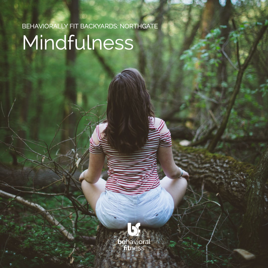 BFB Northgate Mindfulness 2